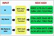 MD5 Encrypt e Decrypt entenda como funciona e alguns conceito